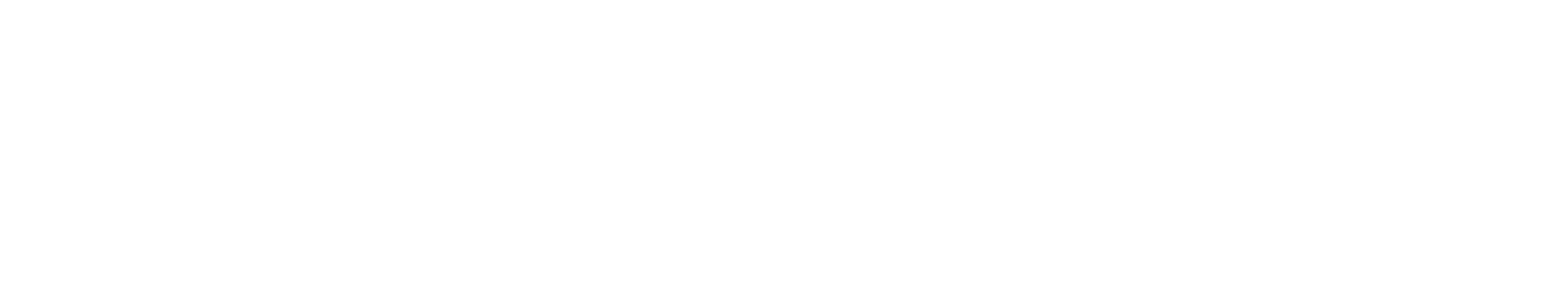 ViceNeons